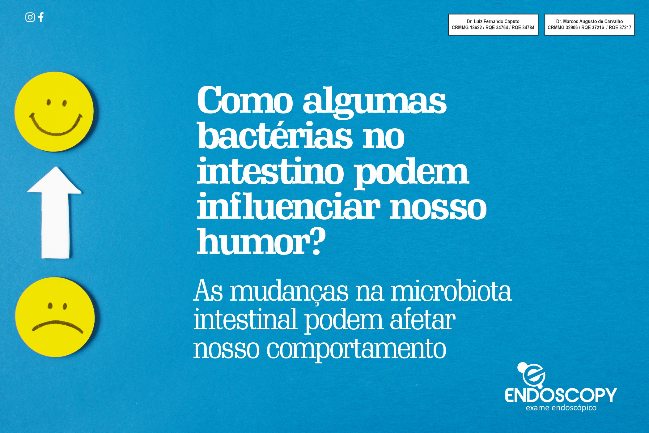 Como algumas  bactérias no  intestino podem  influenciar nos